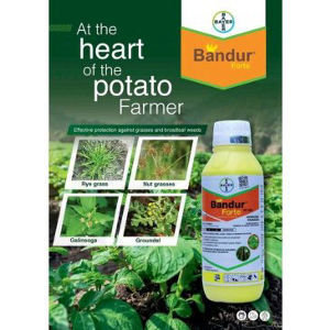 bandur forte sc 600 1 litre