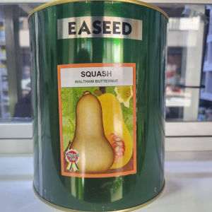 squash butternut waltham (eas)