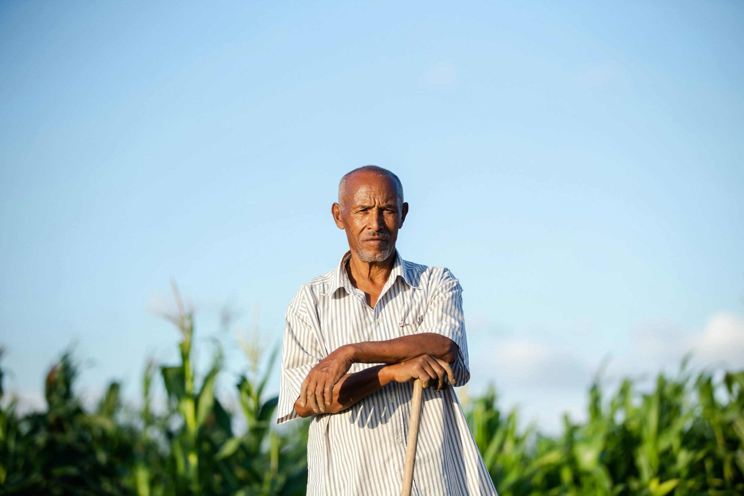 gidon agaza zwzyv17ksyw unsplash