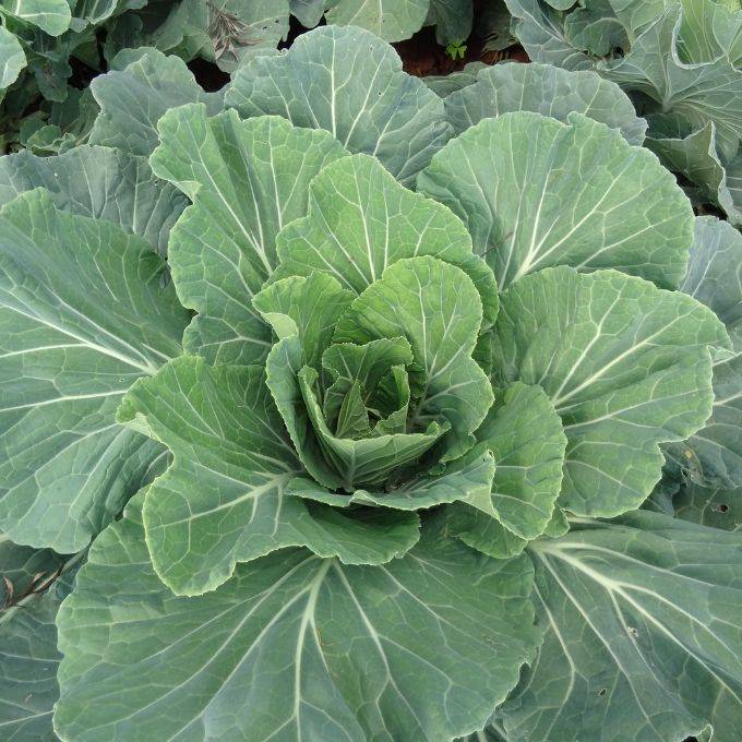 auto draft auto draft