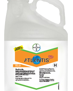 antracol wp 70 500 grams