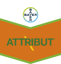 attribut sg70 120 grams