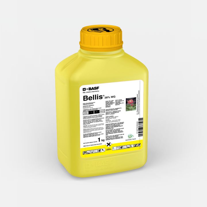 bellis 380 wg 1kg bellis 380 wg 1kg