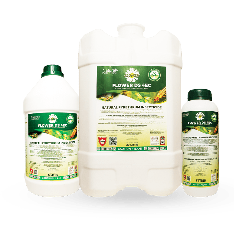 flower ds 4ec 1l flower ds 4ec 1l