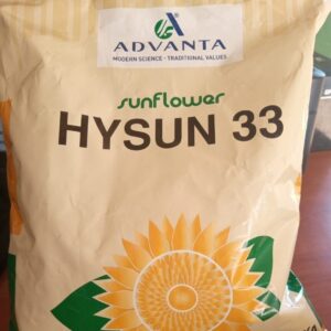 hysun 33 sunflower 1 kg