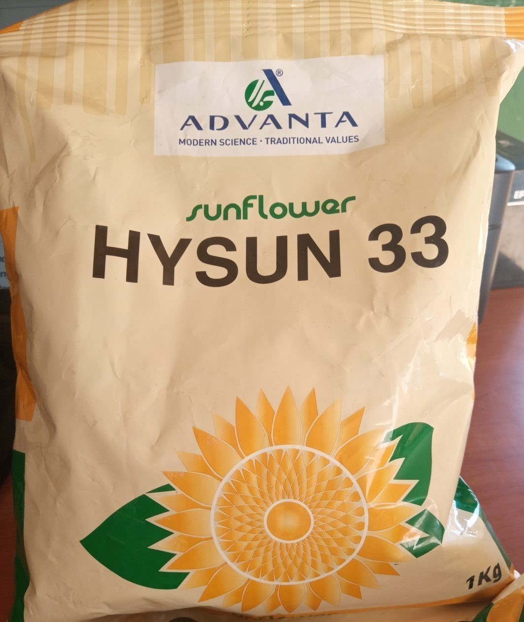 hysun 33 sunflower 1 kg hysun 33 sunflower 1 kg