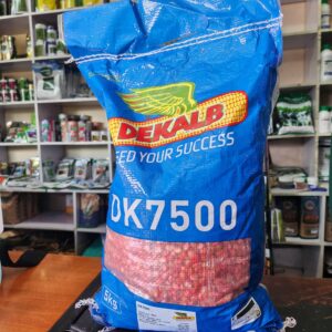 dk 7500 hybrid yellow maize