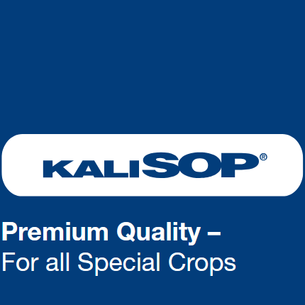 potassium sulphate kalisop potassium sulphate kalisop