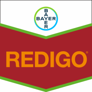 redigo deter fs300 5l