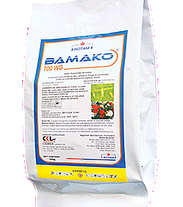 bamako 700wg 30 grams