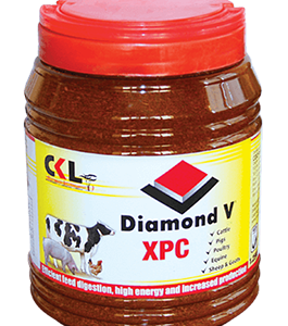 diamond v xpc
