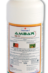 ambar 480sc