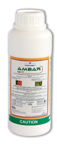 ambar 480sc ambar 480sc