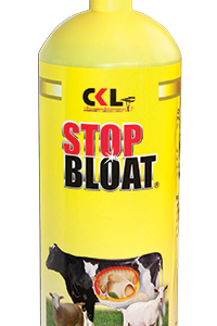 stop bloat
