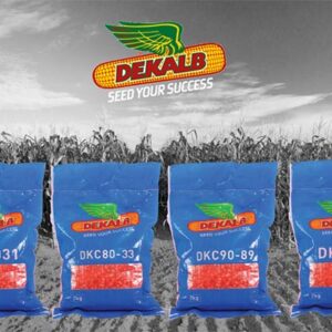 dk777 hybrid maize 2kg