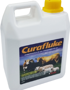 curafluke