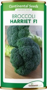 hybrid broccoli rock f1