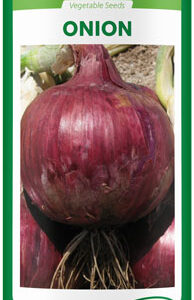 hybrid onion red cornet f1