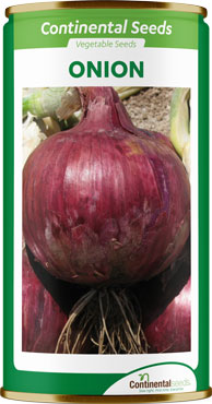 hybrid onion red cornet f1 hybrid onion red cornet f1