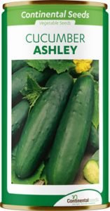 cucumber ashley