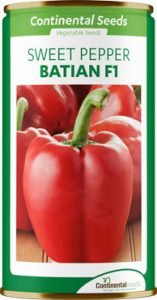hybrid sweet pepper batian f1