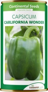 green pepper california wonder (continental)