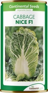 hybrid chinese cabbage nice f1
