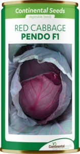hybrid red cabbage pendo f1