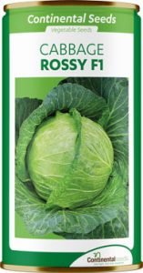hybrid cabbage rossy f1