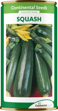 hybrid squash (zucchini) cera f1 hybrid squash (zucchini) cera f1