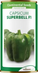 hybrid green pepper superbell f1