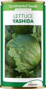 lettuce yashida