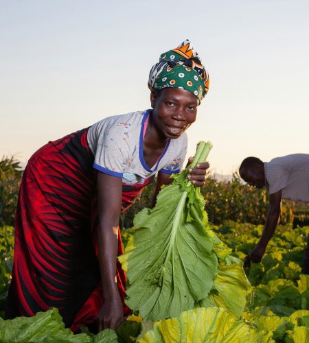 About richard nyoni hzdccbudcbo unsplash